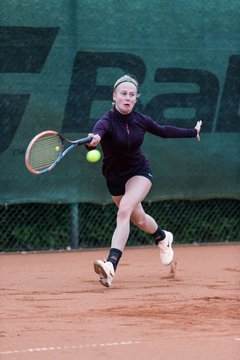Bild 18 - NL VfL Westercelle - SVE Wiefelstede : Ergebnis: 8:1